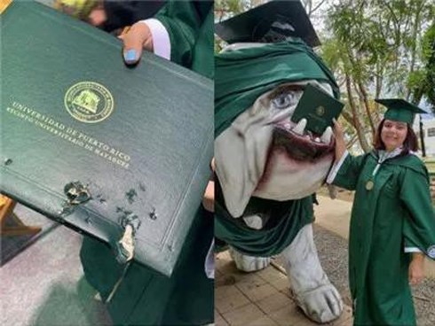 Mải mê chụp ảnh với đám bạn, nữ sinh vô ý bị chú chó Bull Anh cắn rách bằng tốt nghiệp