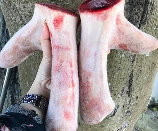 Nhà giàu Việt chi hàng chục triệu đồng để thưởng thức sừng con vật này-2