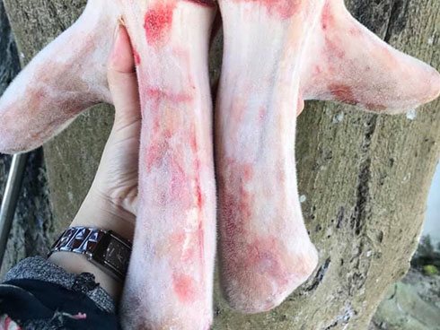 Gặp” cua đinh khủng, đại gia mạnh tay chi gần trăm triệu để sở hữu-4