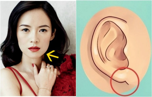 Phụ nữ có 1 trong 5 nét tướng này khiến đàn ông phải nghe lời răm rắp, cả đời nghiện vợ không rời-1