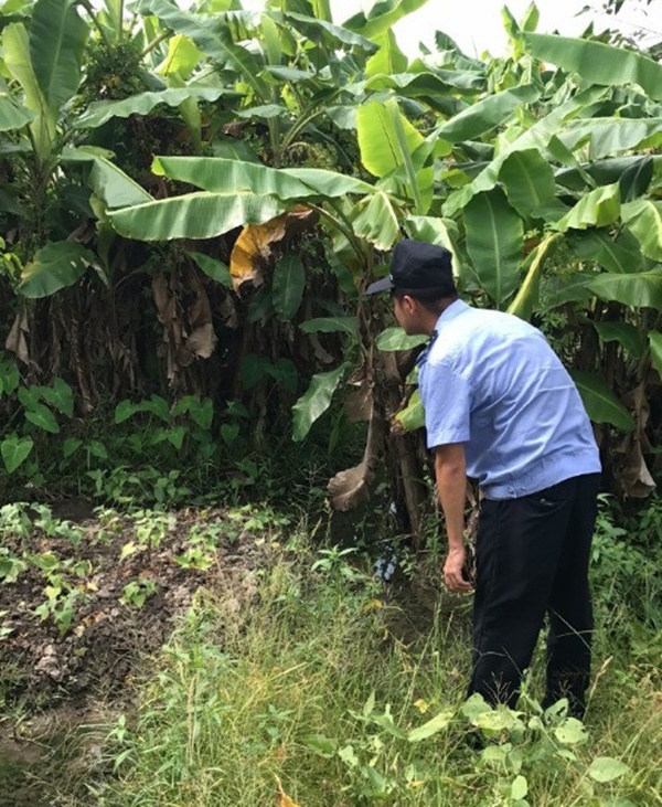 Đột ngột mất tích 2 ngày, thi thể bé trai 8 tuổi được tìm thấy trong hố xử lý nước thải và kẻ thủ ác chính là bố dượng của em-2