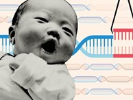 Trẻ biến đổi gen có thể đã sinh ra ở TQ, giới khoa học dậy sóng