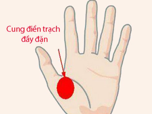 Phụ nữ sở hữu tướng tay này, khó khăn mấy cũng có một ngày đổi đời giàu sang, hậu vận phúc tài nồng hậu, cả đời viên mãn