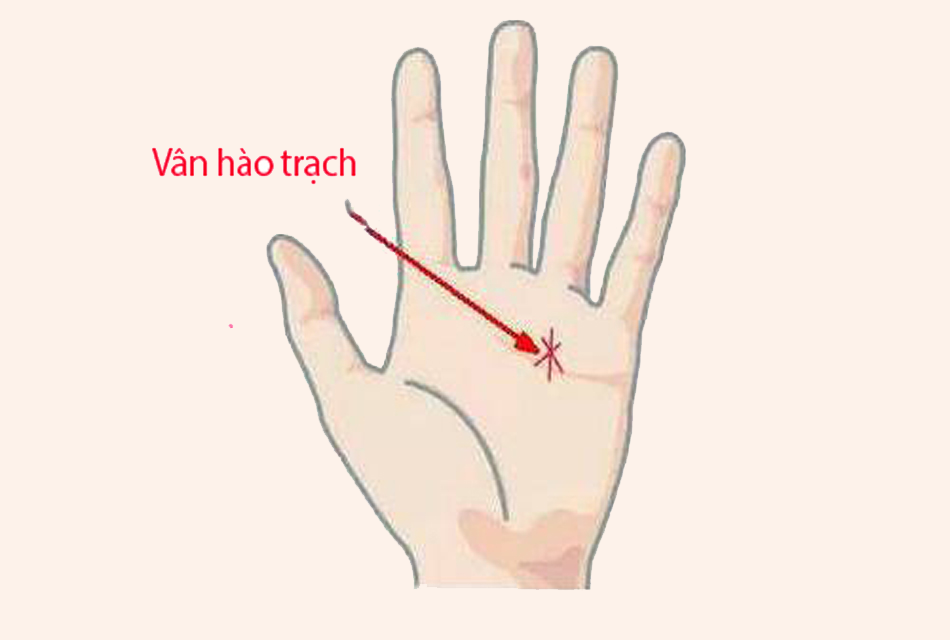 Phụ nữ sở hữu tướng tay này, khó khăn mấy cũng có một ngày đổi đời giàu sang, hậu vận phúc tài nồng hậu, cả đời viên mãn-3