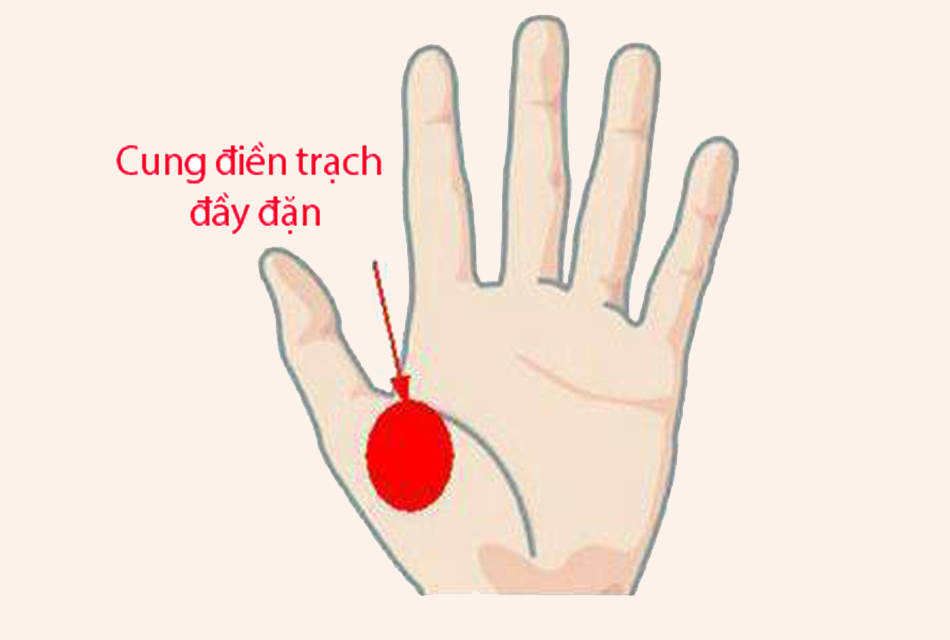 Phụ nữ sở hữu tướng tay này, khó khăn mấy cũng có một ngày đổi đời giàu sang, hậu vận phúc tài nồng hậu, cả đời viên mãn-1