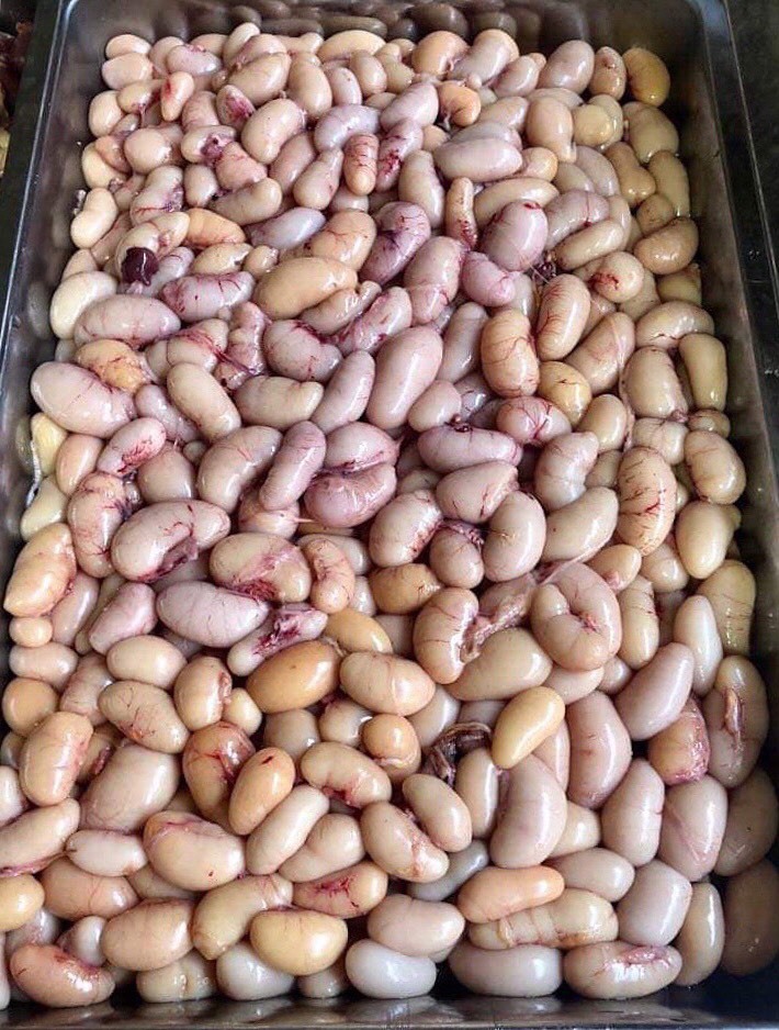 Thần dược ngọc kê Đông Tảo tiền triệu, hàng thải nước ngoài đổ Việt Nam-2