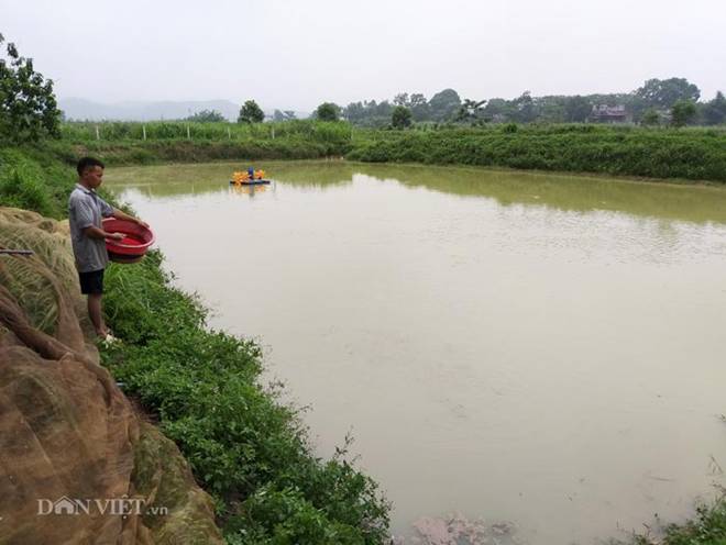 Sau bão dịch tả lợn châu Phi: Kẻ trốn nợ, người làm xe ôm...-2