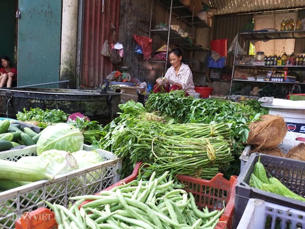 Sau bão dịch tả lợn châu Phi: Kẻ trốn nợ, người làm xe ôm...-7