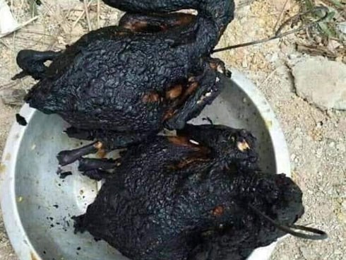 Mẹ chồng dặn 'nướng gà cho chín', con dâu 'đổi quốc tịch' cho gà da trắng thành 'gà châu phi' khiến chị em đứng hình