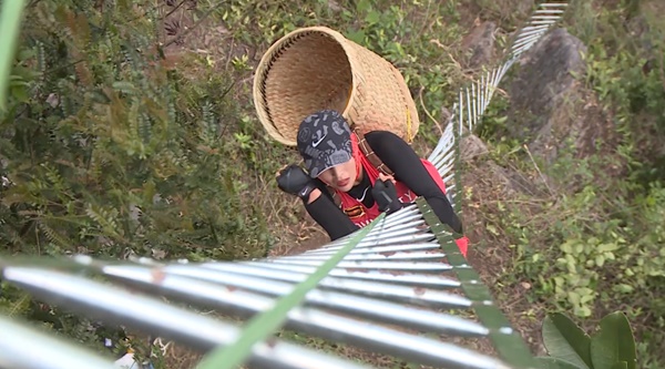 Mặc kệ HHen Niê, Kỳ Duyên, Đỗ Mỹ Linh, Cuộc đua kỳ thú vẫn bị ném đá vì nhạt nhẽo, cắt dựng ẩu-3