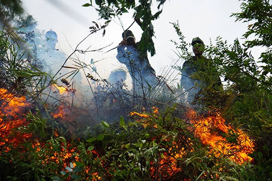 Rừng ở Đà Nẵng bốc cháy dữ dội, hơn 100 người tham gia dập lửa-2