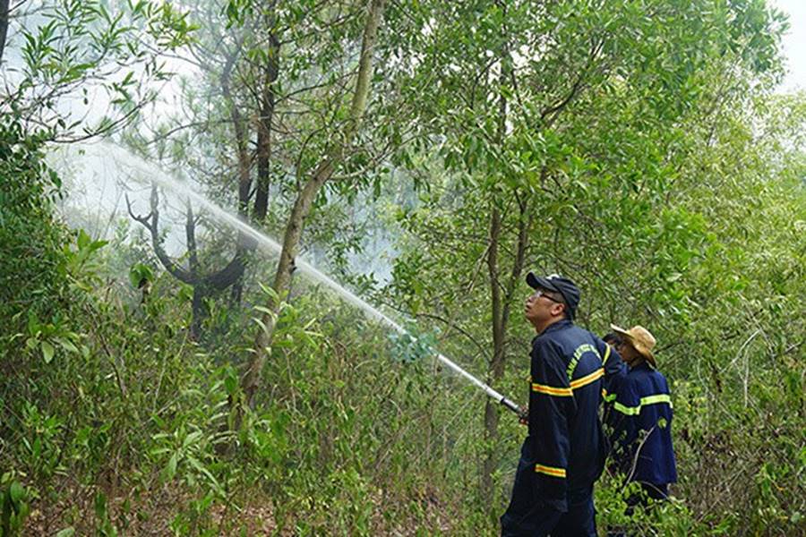 Rừng ở Đà Nẵng bốc cháy dữ dội, hơn 100 người tham gia dập lửa-4