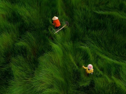 Những kỳ quan đá nổi tiếng nhất ở Mỹ-1