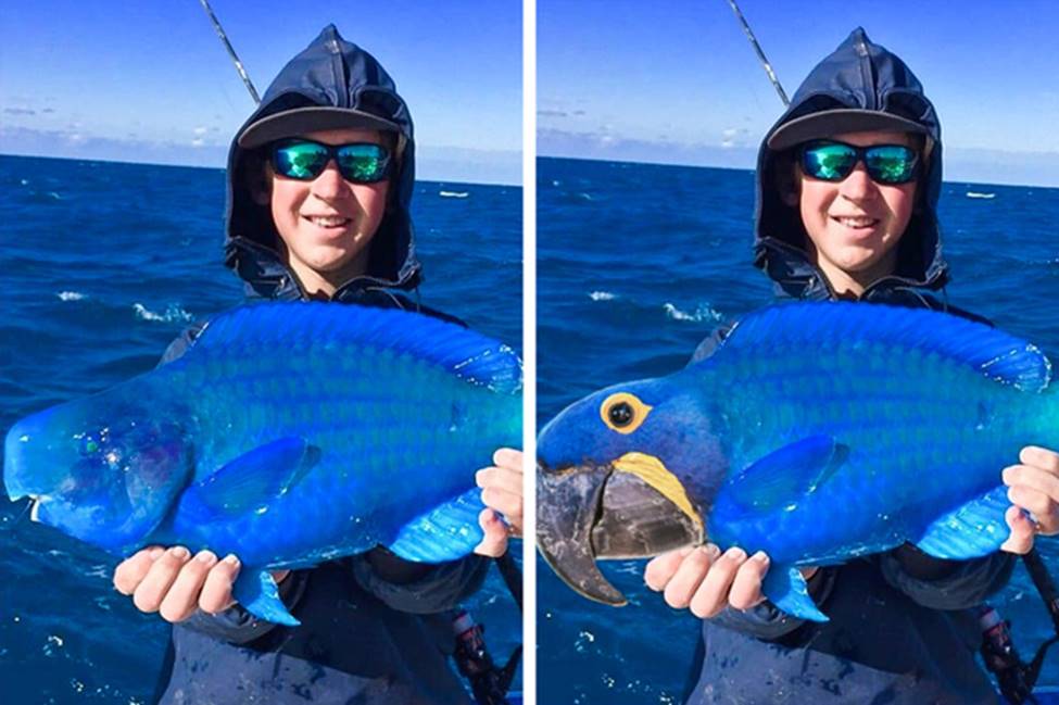 Khi các thánh photoshop ra tay nghĩa hiệp và cái kết-11