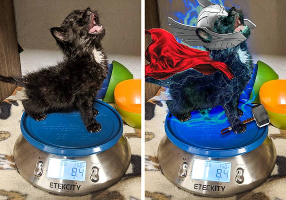 Khi các thánh photoshop ra tay nghĩa hiệp và cái kết-3