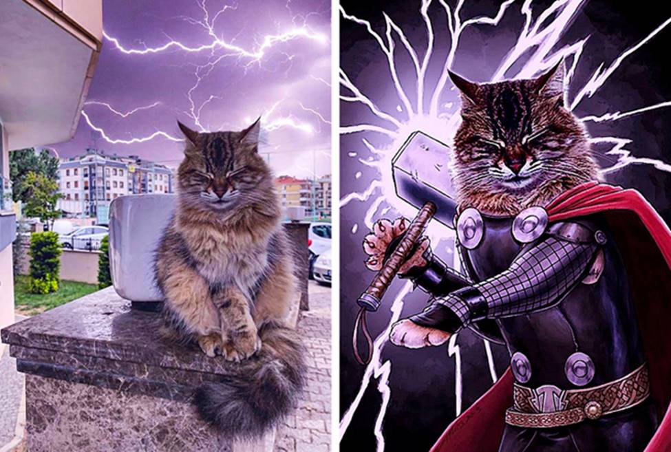 Khi các thánh photoshop ra tay nghĩa hiệp và cái kết-8