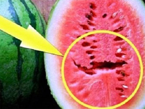 Nhét quả dưa hấu vào chai nhựa, tưởng kỳ lạ nhưng cuối cùng nhà nhà muốn học theo-7