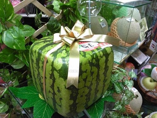 Nhét quả dưa hấu vào chai nhựa, tưởng kỳ lạ nhưng cuối cùng nhà nhà muốn học theo-5