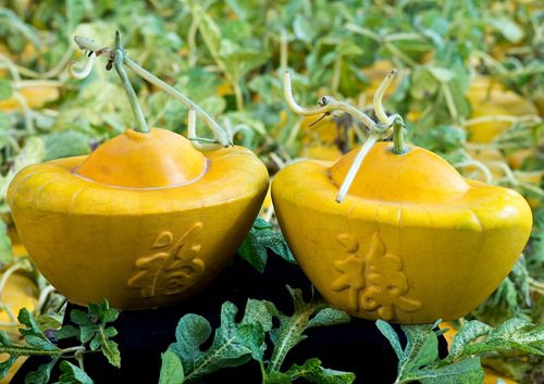 Nhét quả dưa hấu vào chai nhựa, tưởng kỳ lạ nhưng cuối cùng nhà nhà muốn học theo-6