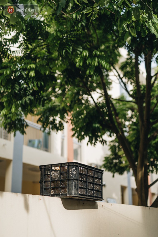 Câu chuyện thú vị về chàng trai đưa ống hút tre Việt Nam ra thế giới: Thu gần 10 tỷ đồng/tháng, 12 năm miệt mài thi ĐH vì đam mê-9