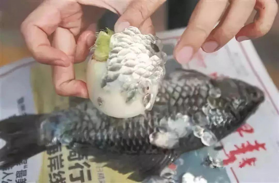 6 mẹo cạo vây cá dễ dàng không lo bắn bẩn chị em nhất định phải biết-2