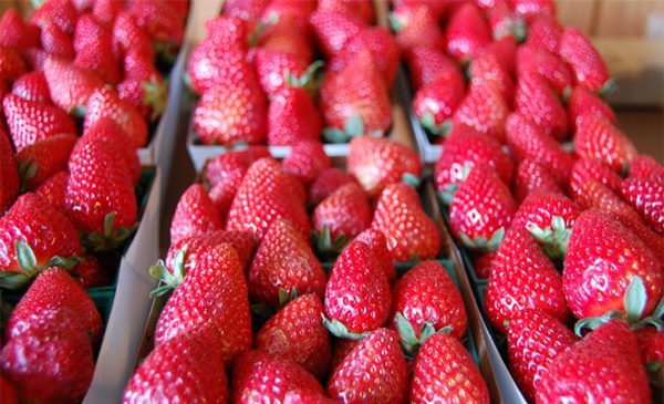 14 kẻ thù của sức khỏe thường xuyên có mặt trong bếp-11