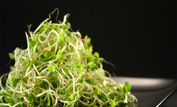 14 kẻ thù của sức khỏe thường xuyên có mặt trong bếp-13