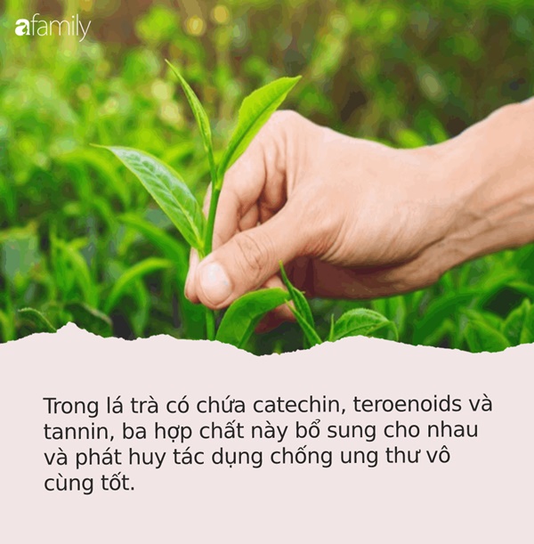 8 loại rau quả giá rẻ bèo lại có khả năng chống ung thư cực tốt, người Việt có hết nhưng ít chú ý đến công dụng-2
