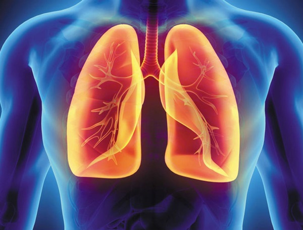 Ăn 5 loại thực phẩm này mỗi ngày: Phổi sạch bong cặn bẩn, tế bào ung thư cũng phải tránh xa-1