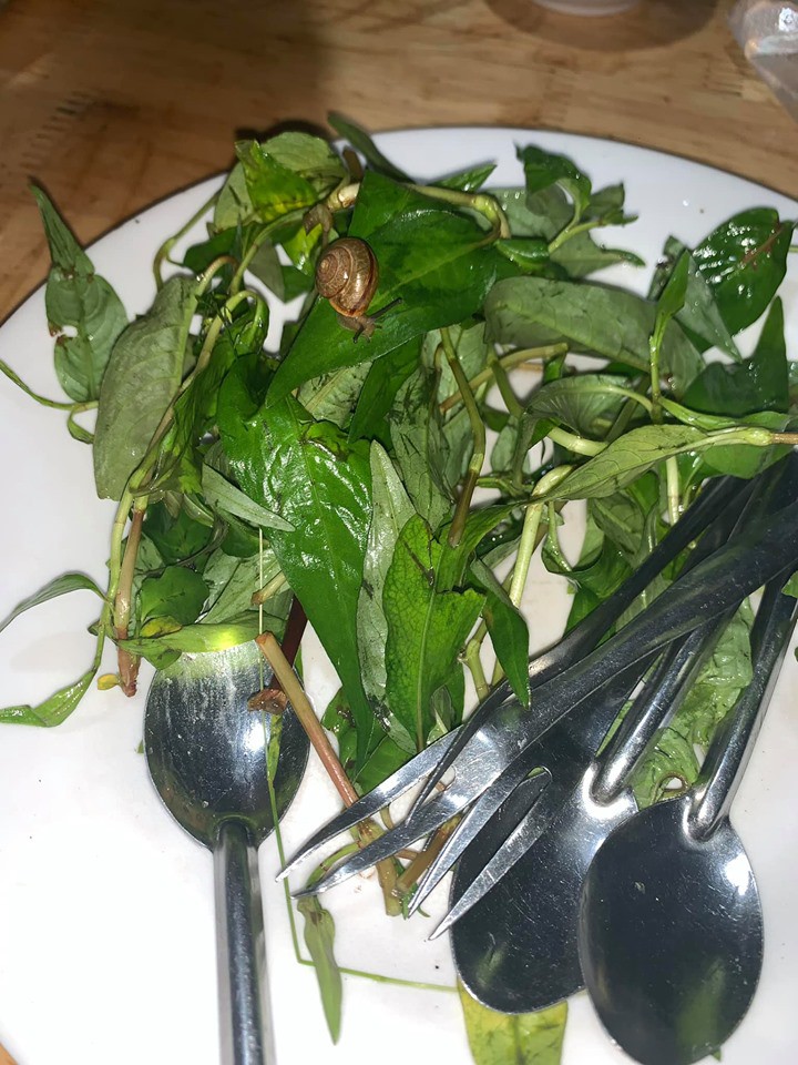 Quán ốc nổi tiếng nhất nhì Đà Lạt bị tố không vệ sinh, làm khách đau bụng, đĩa rau có sinh vật lạ còn gây sốc hơn-2