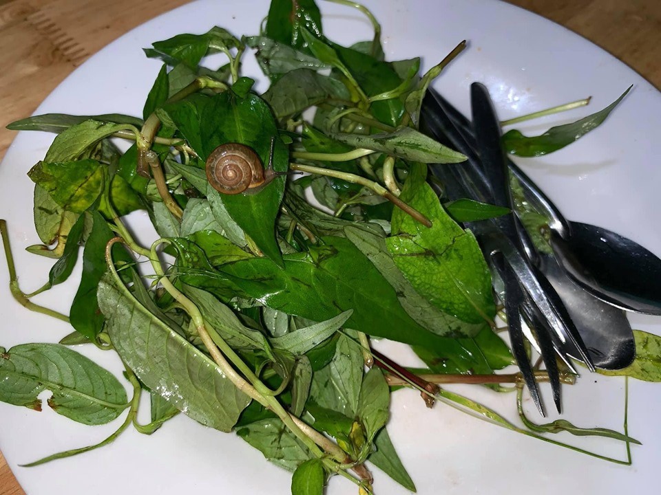 Quán ốc nổi tiếng nhất nhì Đà Lạt bị tố không vệ sinh, làm khách đau bụng, đĩa rau có sinh vật lạ còn gây sốc hơn-4