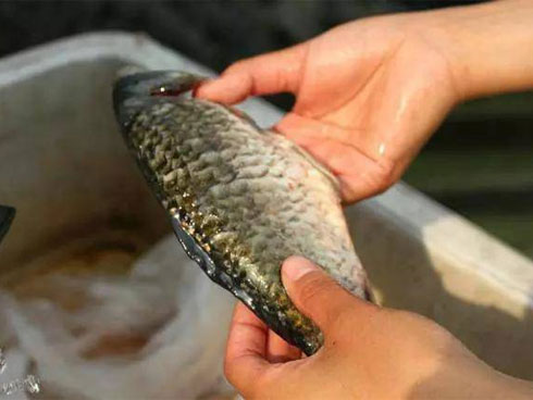 Dấu hiệu nhận biết thực phẩm đã bị tẩm độc, tẩy trắng-6