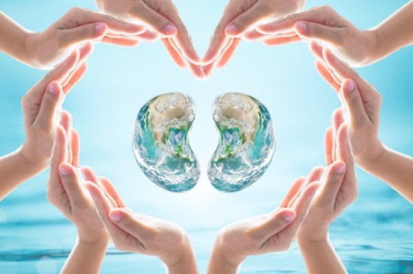 6 loại thực phẩm mà thận thích mê, càng ăn càng bổ, người muốn thận khỏe không nên bỏ qua-1