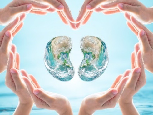 Muốn thận khoẻ phải học ngay 7 cách đơn giản này, ai cũng phải biết trước khi quá muộn-2