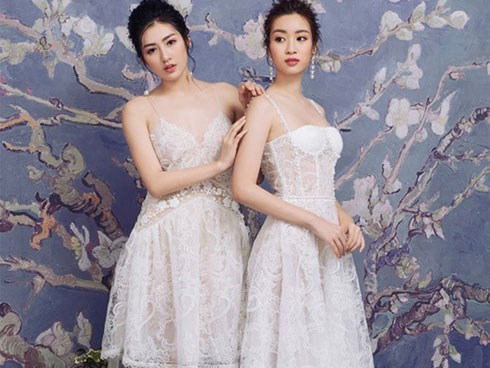Mối quan hệ giữa Tú Anh và Đỗ Mỹ Linh hiện ra sao sau nghi vấn Hoa hậu yêu lại 