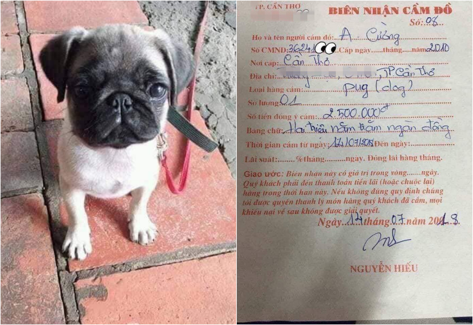 Cám cảnh con boss bị sen mang đi cầm cố cả năm chưa chuộc, chủ tiệm than trời vì cung phụng quá tốn kém-1