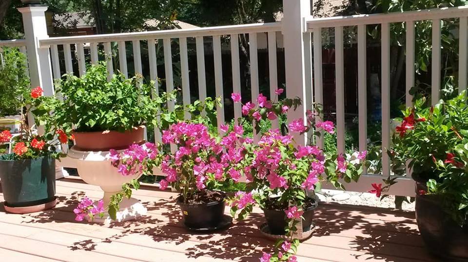 Say tình huấn luyện viên, nữ phó phòng vỡ mộng sau 1 đêm mặn nồng-1