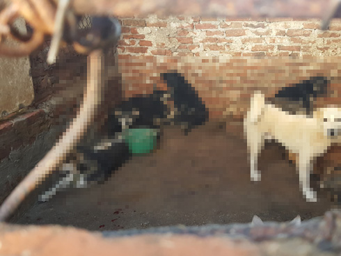 Cặp vợ chồng gặp tai nạn thương tâm, bào thai 5 tháng văng ra khỏi bụng mẹ gây ám ảnh, nhưng tuyên bố từ gia đình càng gây ngỡ ngàng-3