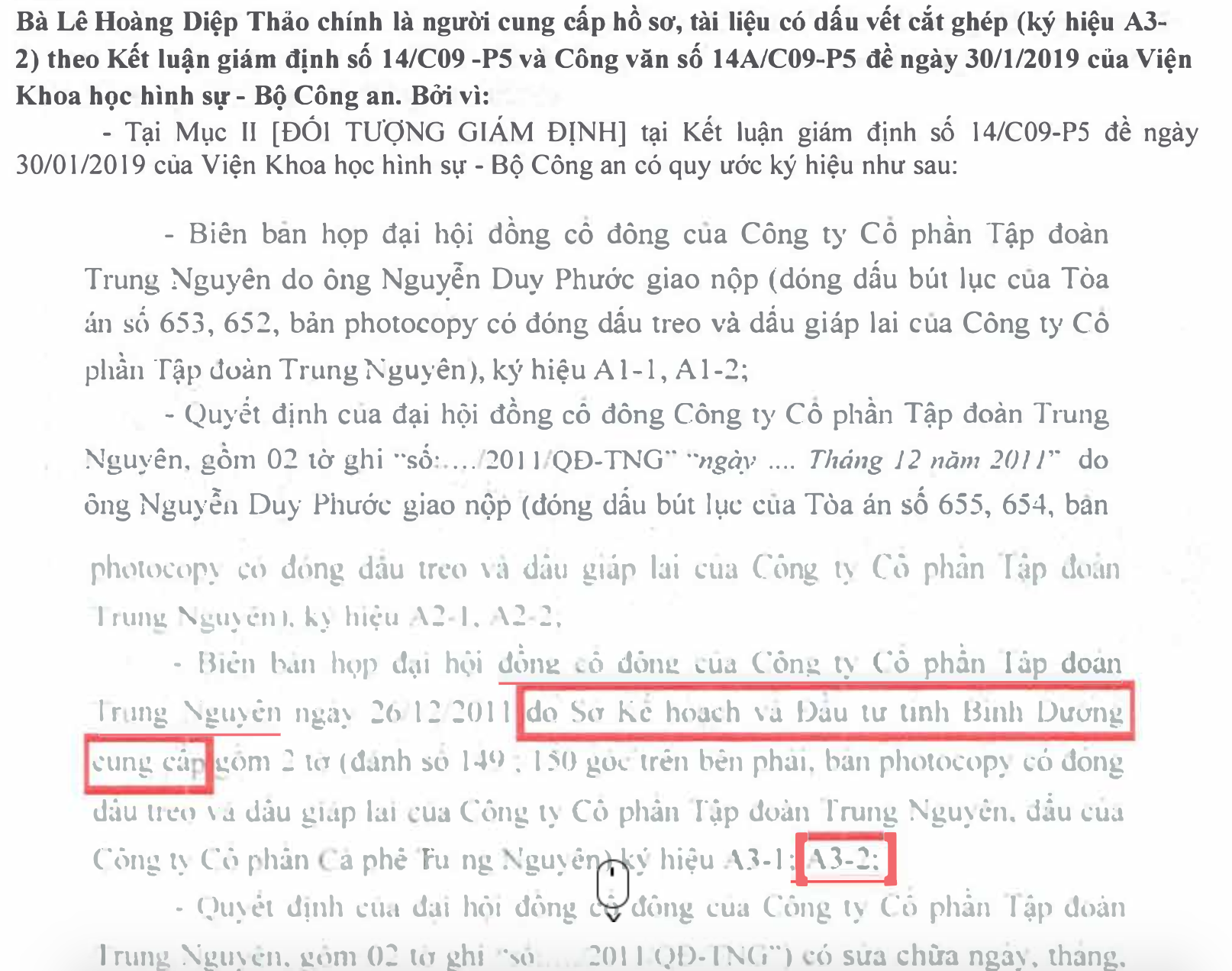 Ông Đặng Lê Nguyên Vũ phản đòn, tố bà Diệp Thảo vu cáo khi tự gửi tài liệu giả mạo rồi yêu cầu giám định để vu oan cho Trung Nguyên-2