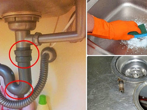 Đổ giấm lên miếng bánh mỳ: Đừng vì tiếc của mà không làm, bạn sẽ bất ngờ khi thấy điều kì diệu này-2