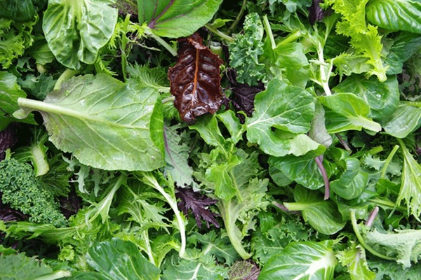 Không muốn ung thư tấn công bạn, hãy áp dụng những điều này-12