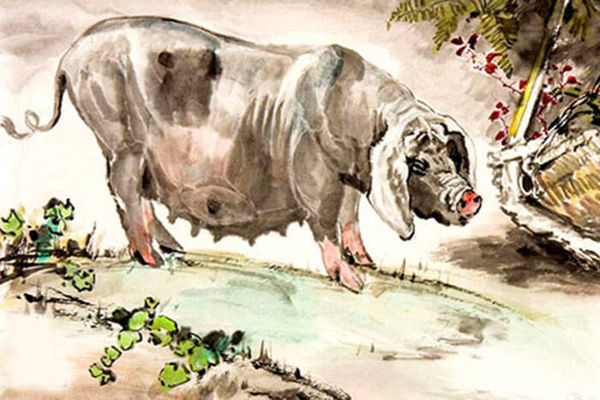 3 con giáp càng già càng giàu, cứ thêm tuổi là thêm tiền-3