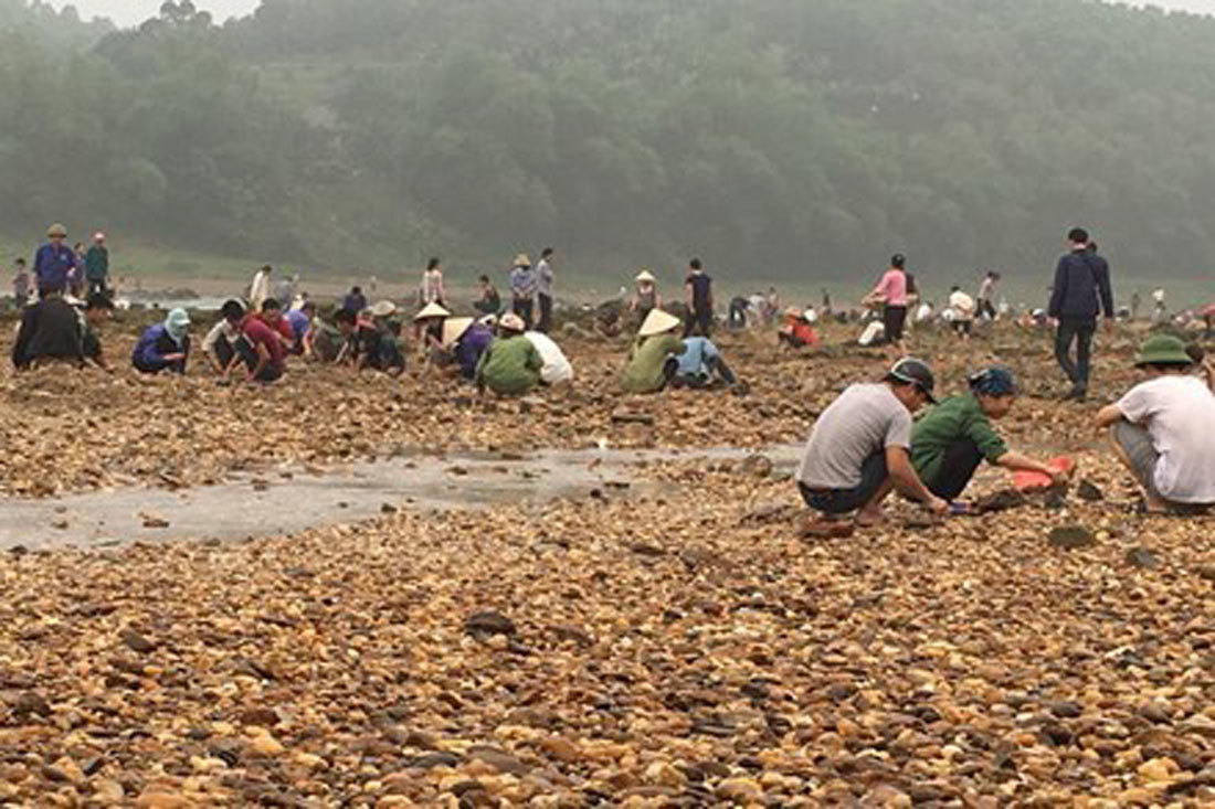 Đi rừng nhặt được viên đá quý 5 tỷ, vạn người đào núi tìm vận may-2