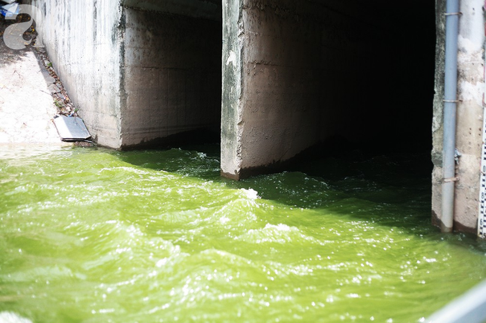 Chùm ảnh: Qua rồi thời đen đúa vẩn đục, giờ đây nước sông Tô Lịch đổi màu xanh rêu đẹp đến ngỡ ngàng-1