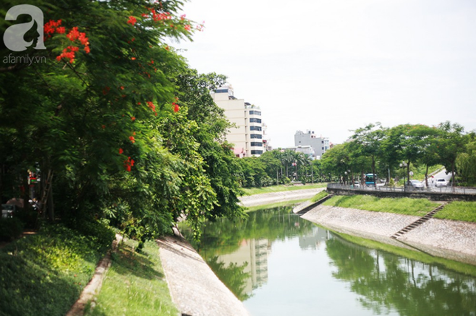 Chùm ảnh: Qua rồi thời đen đúa vẩn đục, giờ đây nước sông Tô Lịch đổi màu xanh rêu đẹp đến ngỡ ngàng-10