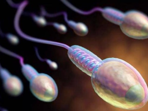 Gửi tinh trùng giá bằng 2 cốc trà đá, ngân hàng tinh trùng vẫn kêu cứu” vì cạn vốn-2