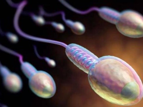 7 thói quen giết chết tinh trùng, quý ông phải bỏ ngay nếu muốn có tin vui