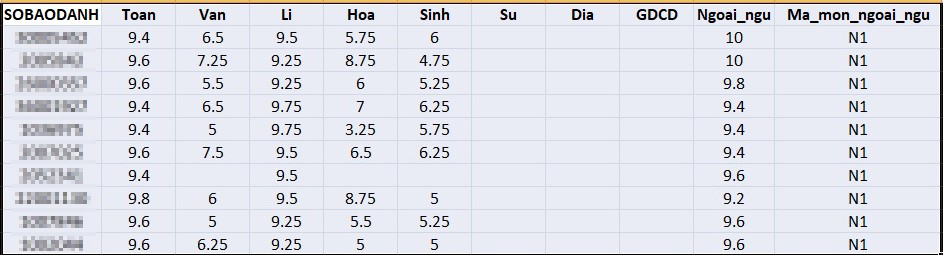 Những thí sinh có tổng điểm thi THPT quốc gia 2019 cao nhất các tổ hợp-2