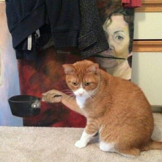 Hoa mắt chóng mặt, anh em cẩn thận nhìn nhầm-3