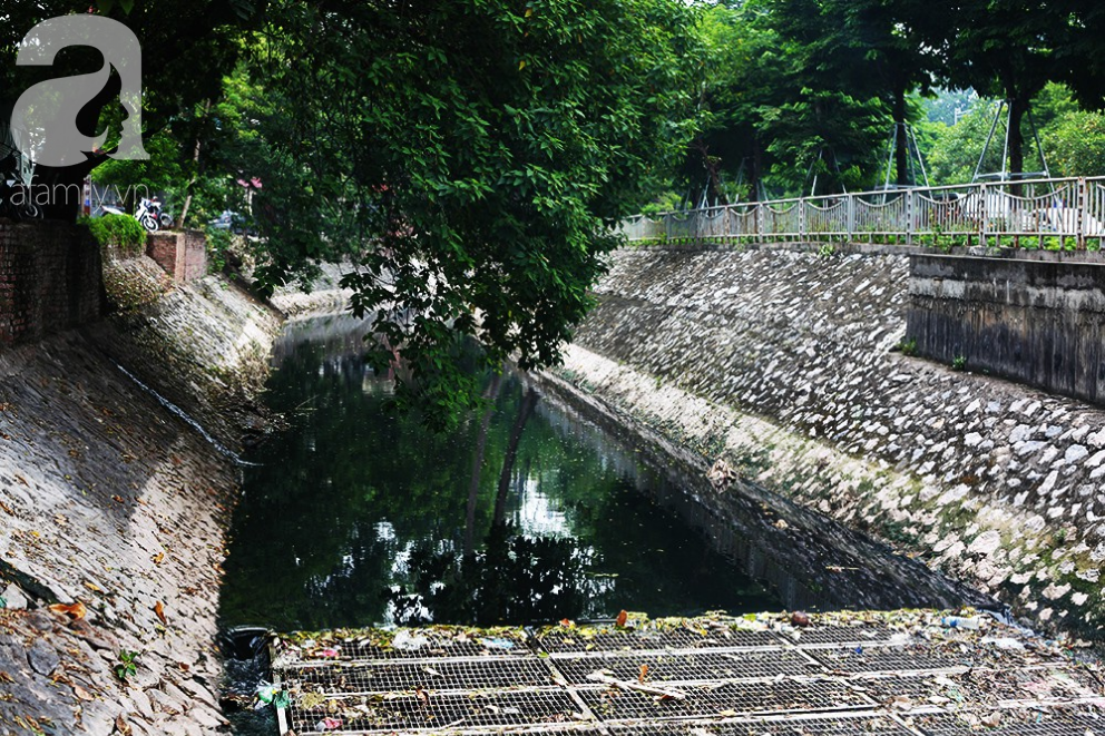 Sông Tô Lịch lại đen kịt, ô nhiễm nặng nề khiến cá chết trắng bụng sau khi bất ngờ trong xanh được vài ngày-1